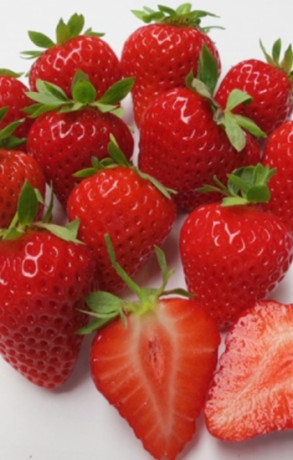 Рассада земляники садовой Гармония в конт. Р9 (Клубника) (НС)