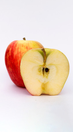 Саженец яблони Ханий Крисп, 2 года, ОКС (НС)