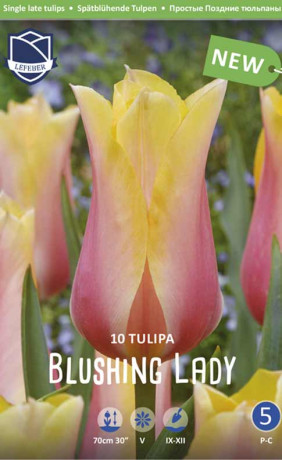 Тюльпаны Blushing Lady (Lefeber)