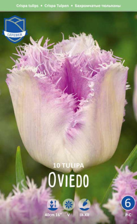Тюльпаны Oviedo (Lefeber)