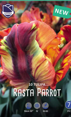 Тюльпаны Rasta Parrot (Lefeber)