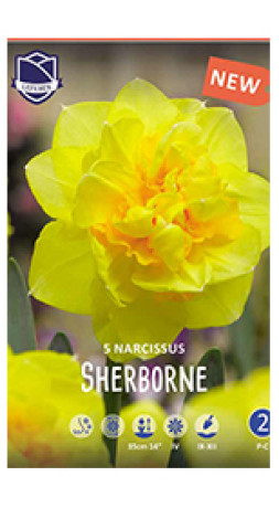 Нарциссы Sherborne (Lefeber)