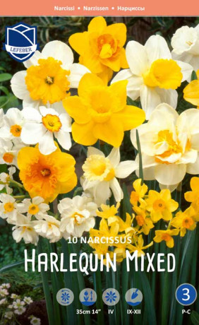 Нарциссы Harlequin Mixed (Lefeber)