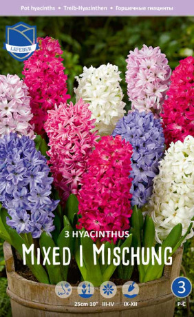 Гиацинты комнатные Mixed (Lefeber)
