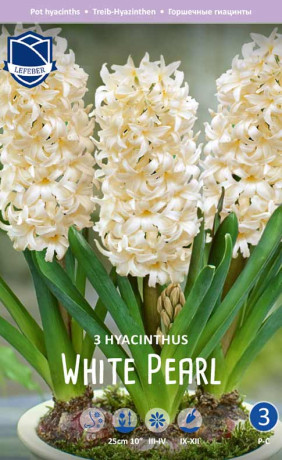 Гиацинты комнатные White Pearl (Lefeber)