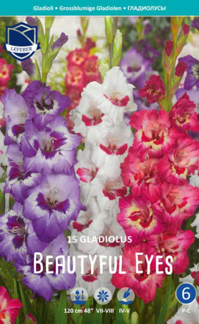 Гладиолус Beautyful Eyes (Combi packs) (Lefeber)