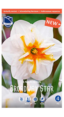 Нарциссы Broadway Star (Lefeber)