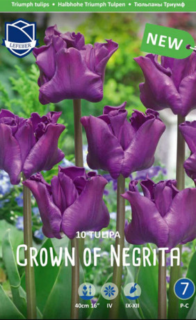 Тюльпаны Crown of Negrita (Кроу оф Негрита)(Lefeber)