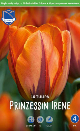 Тюльпаны Prinzessin Irene (Lefeber)