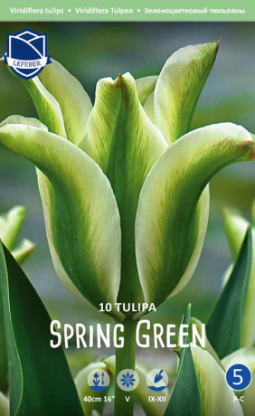 Тюльпаны Spring Green (Lefeber)