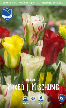 Тюльпаны Viridiflora Mixed (Lefeber)