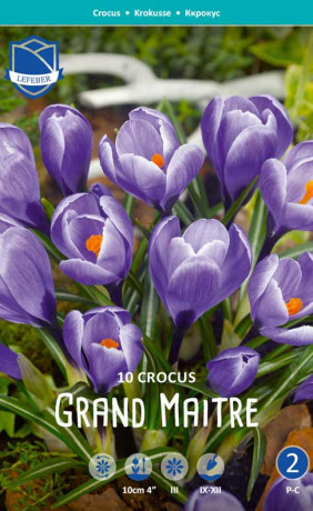 Крокусы Grand Maitre (Lefeber)