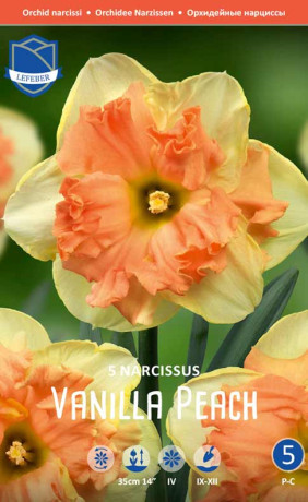 Нарциссы Vanilla Peach (Lefeber)