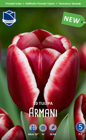 Тюльпаны Armani (Lefeber)