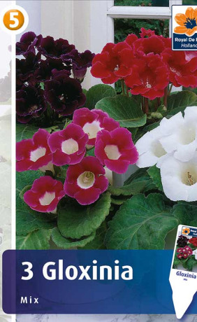 Глоксиния Mix (R. De Ree)