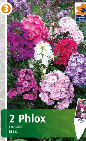 Флокс paniculata mix (R. De Ree)