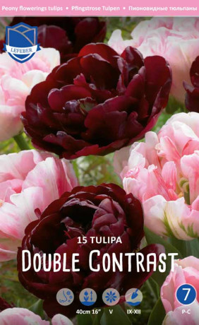 Тюльпаны Double Contrast (серия Perfect partners) (Lefeber)
