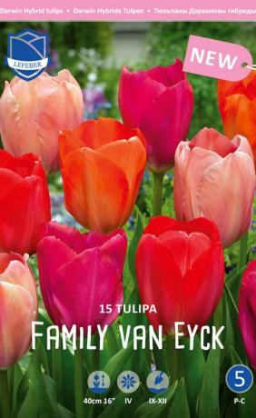 Тюльпаны Family van Eyck (Семья ван Эйк) (серия Perfect partners) (Lefeber)
