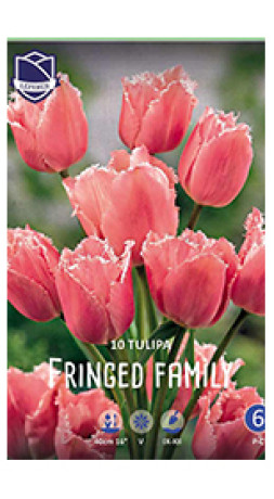 Тюльпаны Fringed Family (Lefeber)