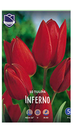 Тюльпаны Inferno (Lefeber)