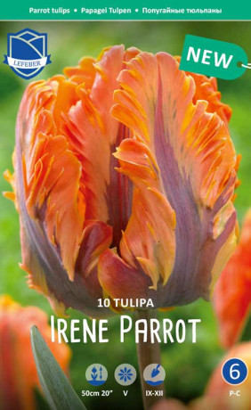 Тюльпаны Irene Parrot (Lefeber)