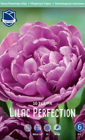 Тюльпаны Lilac Perfection (Lefeber)
