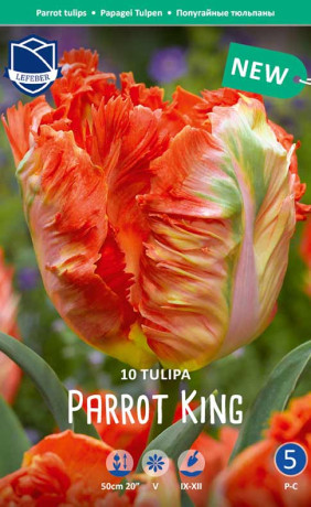 Тюльпаны Parrot King (Пэррот Кинг)(Lefeber)