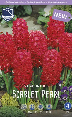 Гиацинты Scarlet Pearl (Lefeber)