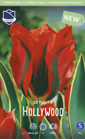 Тюльпаны Hollywood (Lefeber)