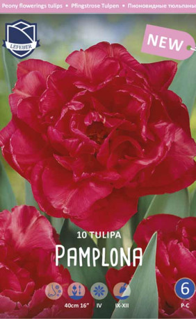 Тюльпаны Pamplona (Памплона)(Lefeber)