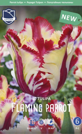 Тюльпаны Flaming Parrot (Lefeber)