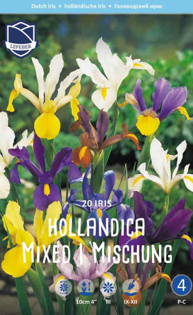 Ирис hollandica Mix (Lefeber)