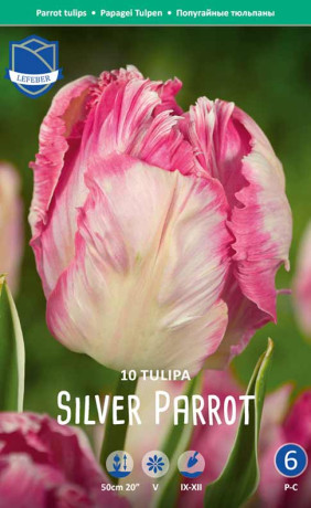 Тюльпаны Silver Parrot (Lefeber)