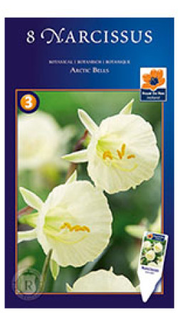 Нарциссы Arctic Bells (R. De Ree)