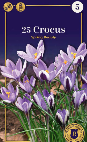 Крокусы Spring Beauty (R. De Ree)
