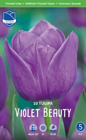 Тюльпаны Violet Beauty (Lefeber)