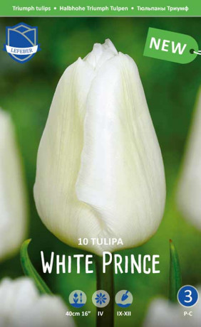 Тюльпаны White Prince (Lefeber)