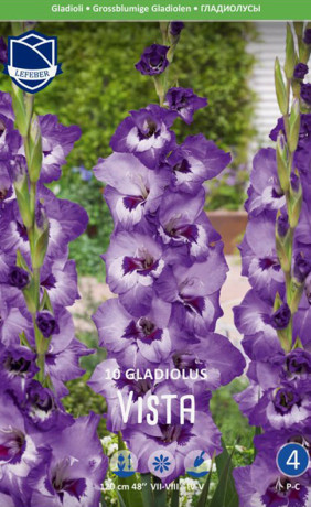 Гладиолус Vista (Lefeber)
