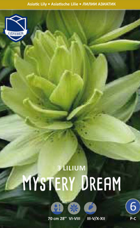 Лилия double Mystery Dream (Lefeber)