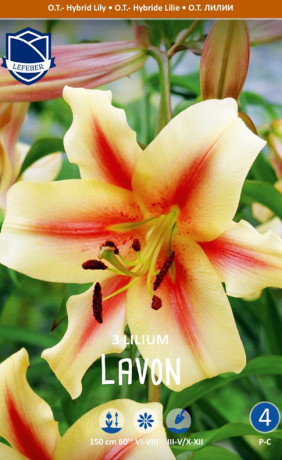 Лилия O.T. Lavon (Lefeber)