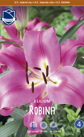 Лилия O.T. Robina (Lefeber)