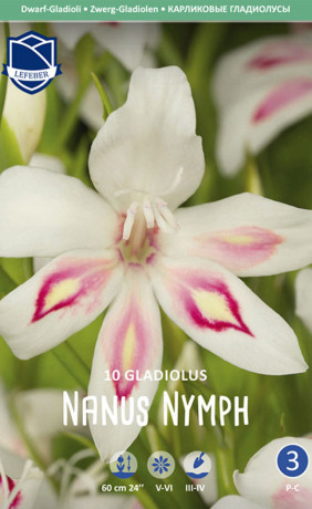 Гладиолус nanus Nymph (Lefeber)