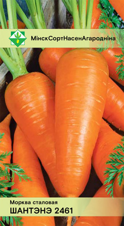 Морковь Шантенэ 2461 столовая 1.5г