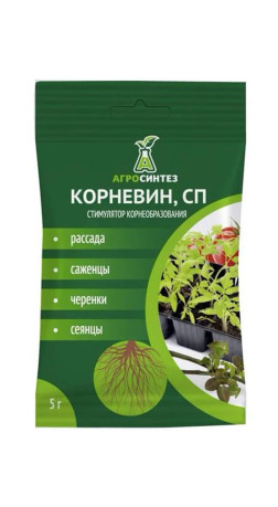 Корневин П 5гр
