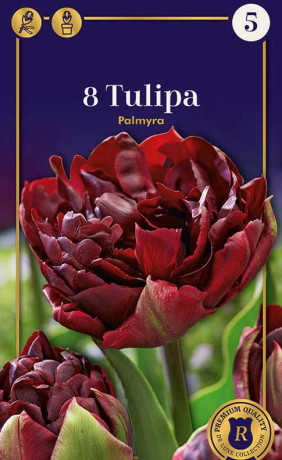 Тюльпаны Palmyra (R. De Ree)