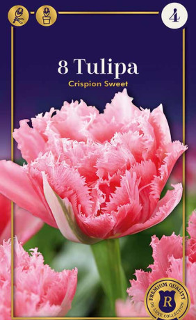 Тюльпаны Crispion Sweet (R. De Ree)