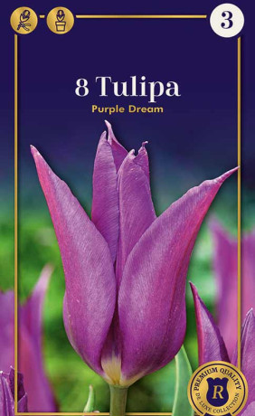 Тюльпаны Purple Dream (R. De Ree)