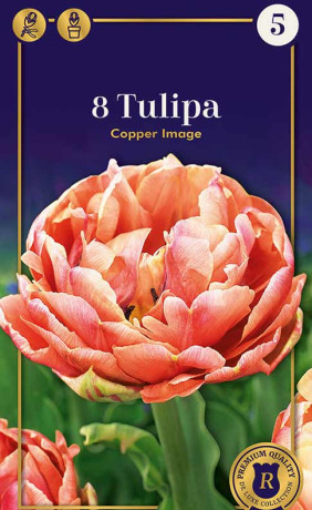 Тюльпаны Copper Image (R. De Ree)