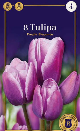Тюльпаны Purple Elegance (R. De Ree)