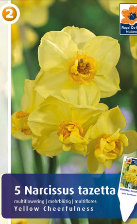 Нарциссы Yellow Cheerfulness (R. De Ree)
